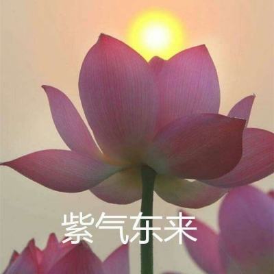 斗罗大陆神界传说2百度版下载